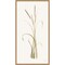 Lyme Grass by Chris Paschke 14-in. W x 27-in. H. Canvas Wall Art Print Framed in Natural